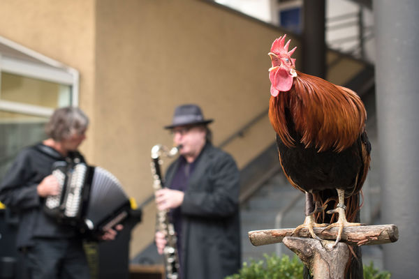 Foto: André Symann