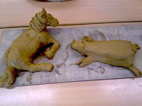 Tonmodelle Pferd und Schwein