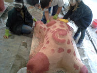 noch mehr schlappes Schwein